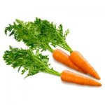 Морковь обыкновенная