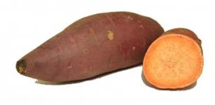 Батат (сладкий картофель), корнеплод