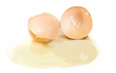 Яйцо куриное, белок