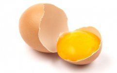 Яйцо куриное, желток